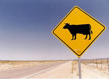 《狙击精英5》无障碍选项细节 海量元素均可定制